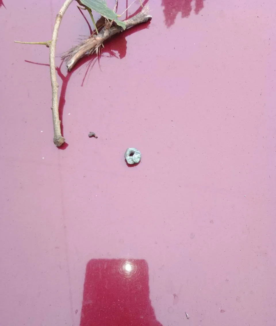        .  dqxikeidqxiqeqant