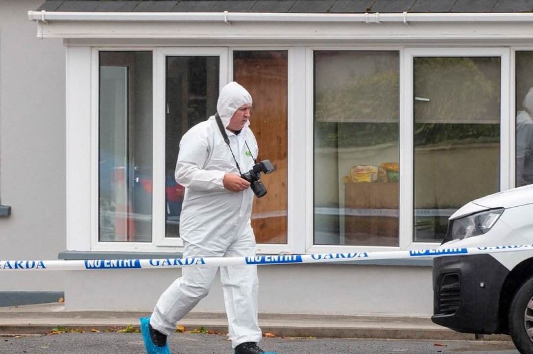 напад на українку, Ірландія, ірландська поліція, ножові поранення, українські біженці dqxikeidqxidqrant