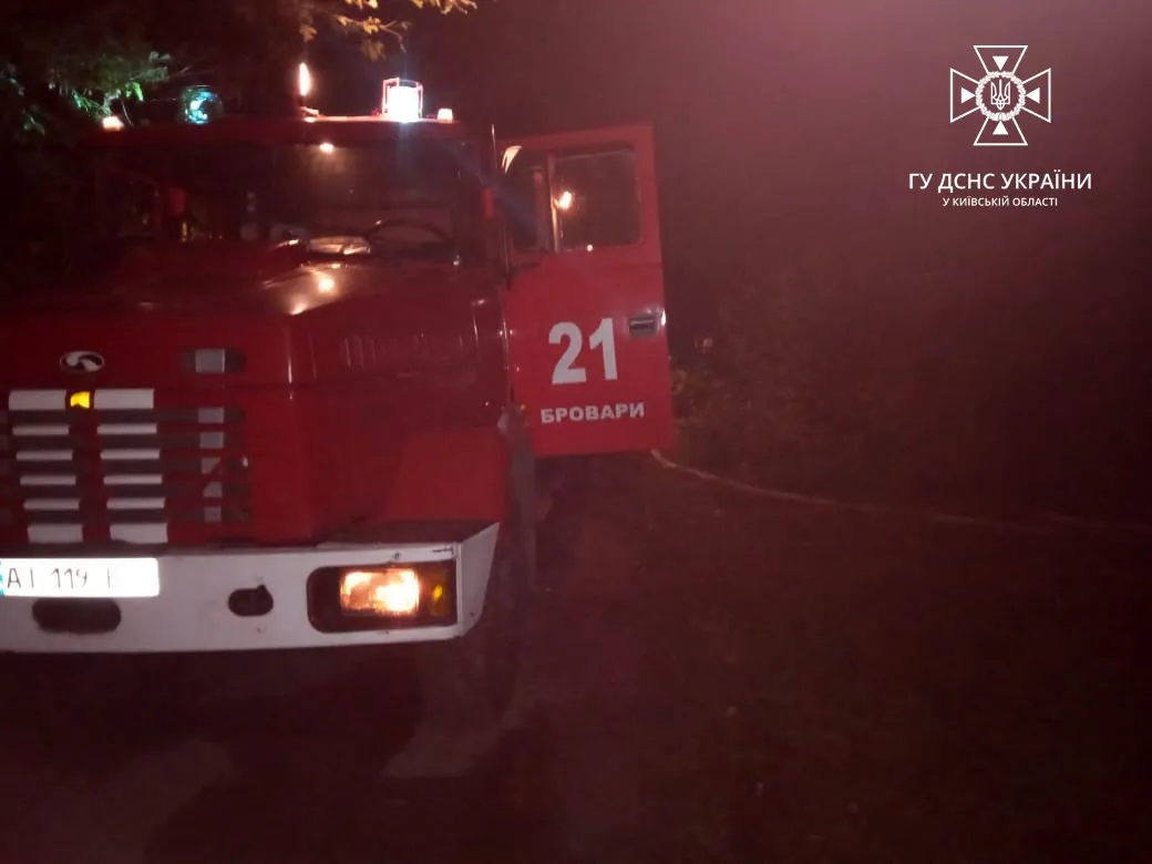 На Київщині внаслідок пожежі в приватному будинку загинула 96-річна жінка dqxikeidqxidqeant