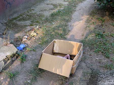 В Івано-Франківську жінка викинула своє новонароджене немовля у підвал В Івано-Франківську жінка викинула своє новонароджене немовля у підвал dqxikeidqxidqeant