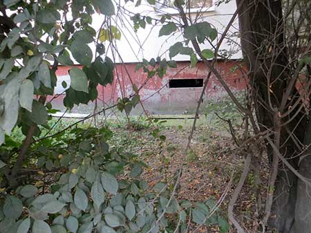 В Івано-Франківську жінка викинула своє новонароджене немовля у підвал В Івано-Франківську жінка викинула своє новонароджене немовля у підвал