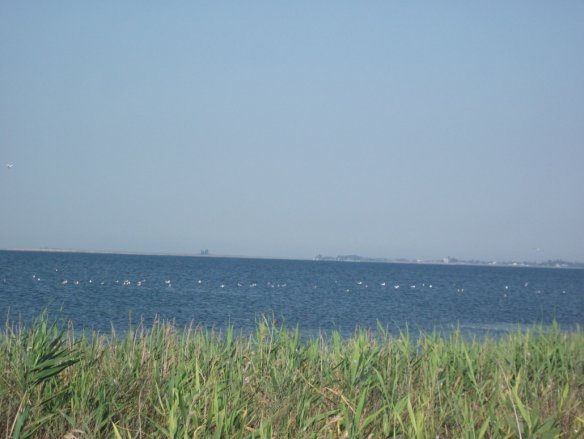  ,      dqxikeidqxidqeant