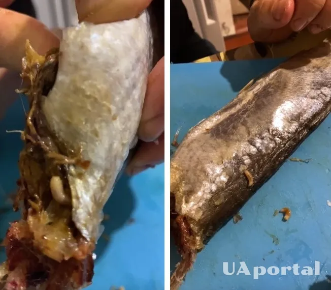       -     dqxikeidqxiqqdant