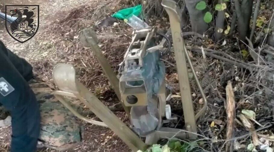   蒒    蒒   :    dqxikeidqxidqeant