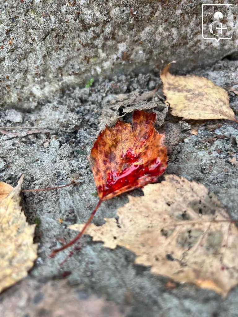 Війська РФ обстріляли чотири громади Сумщини, працювали дрони: загинула жінка