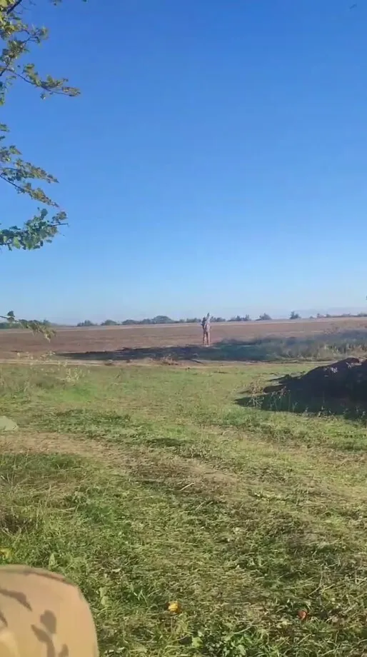         :      dqxikeidqxidqrant