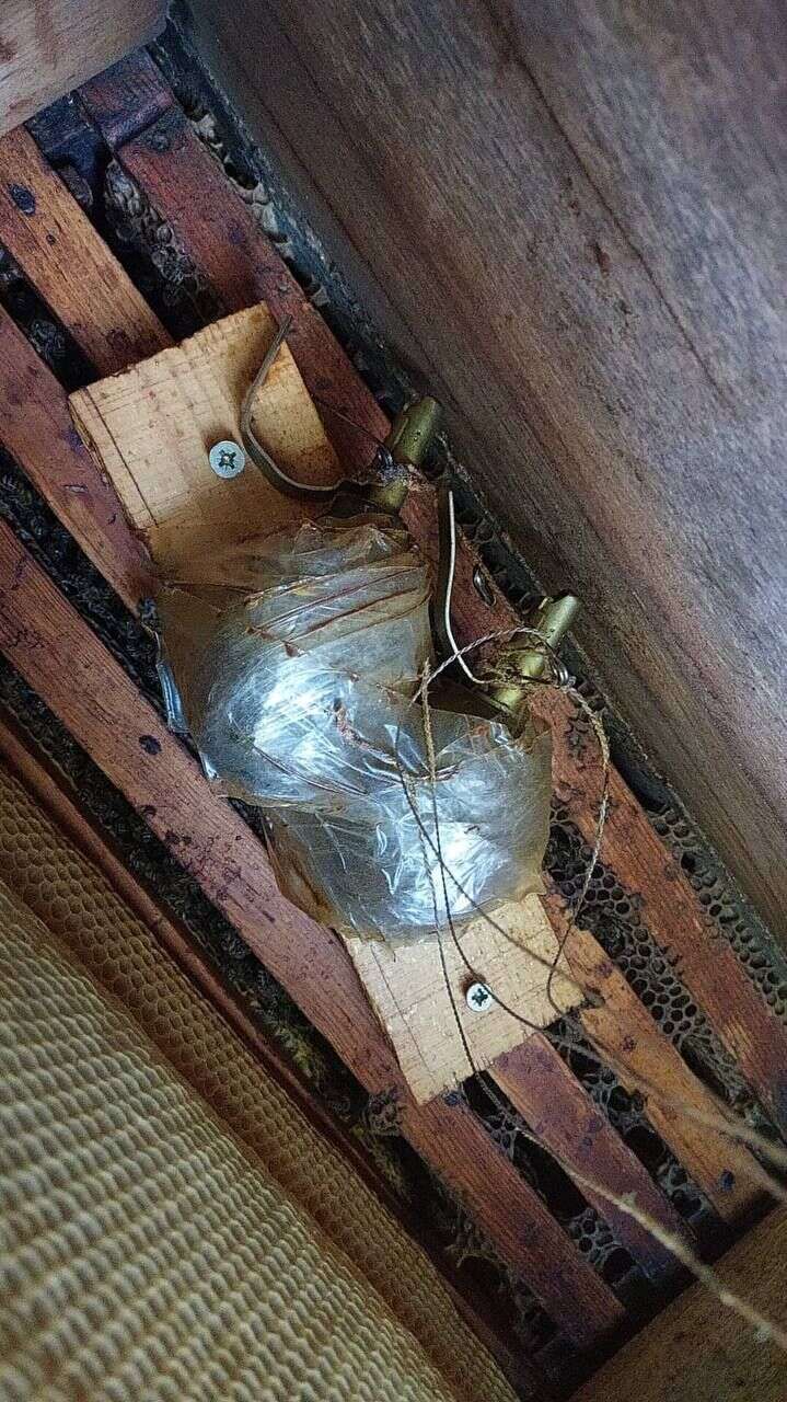      :     .  dqxikeidqxidqeant