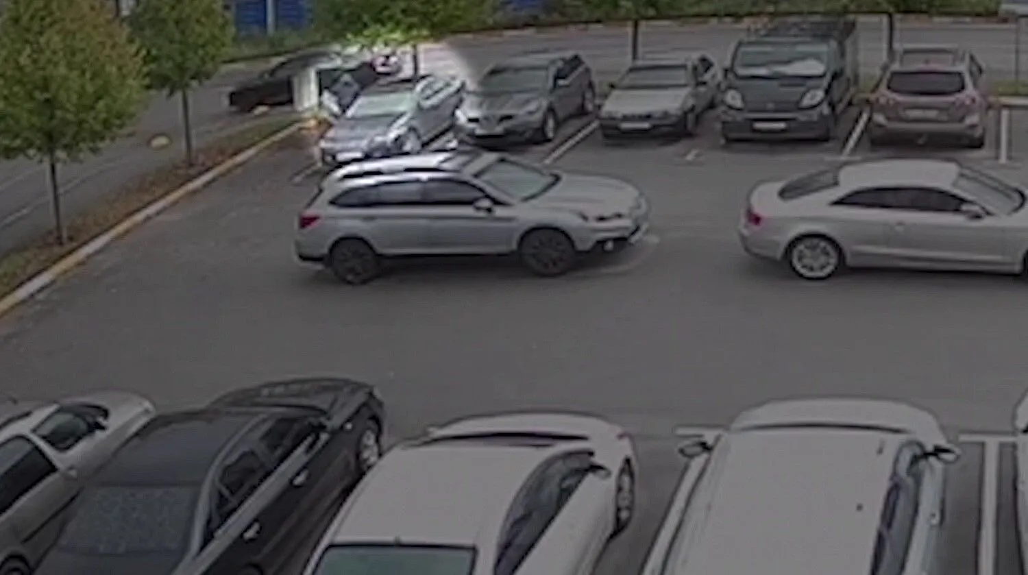 В Киевской области задержали серийных воров с авто: преступление зафиксировала видеокамера dqxikeidqxidqeant