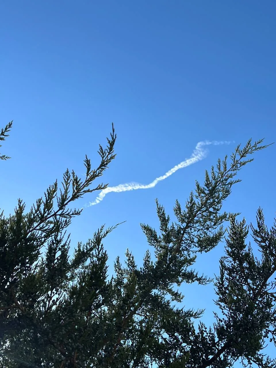       -800    풒.    dqxikeidqxidqrant