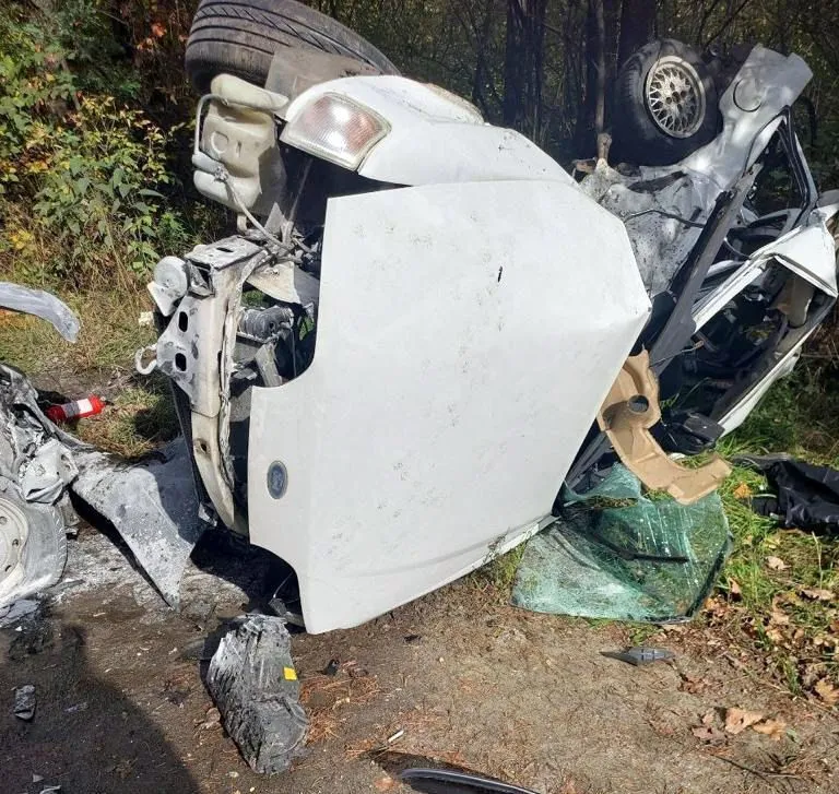         .  dqxikeidqxidqeant