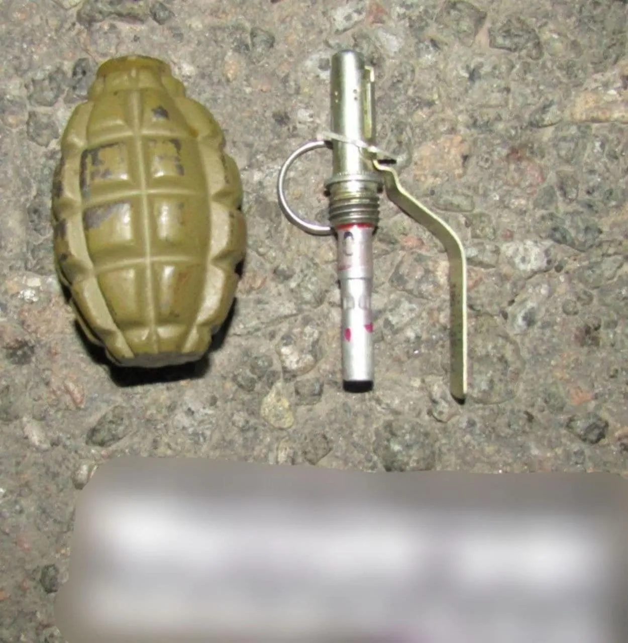 На Київщині чоловік погрожував дружині знайденою в лісі гранатою. Фото dqxikeidqxidqrant