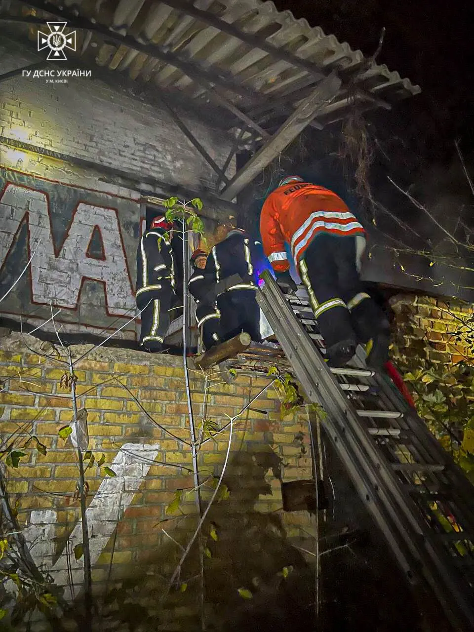       .  dqxikeidqxidqrant