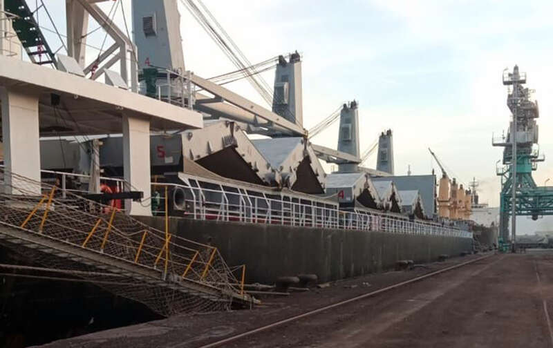 До Алжиру прибуло друге судно з України за "зерновою ініціативою" dqxikeidqxidqrant