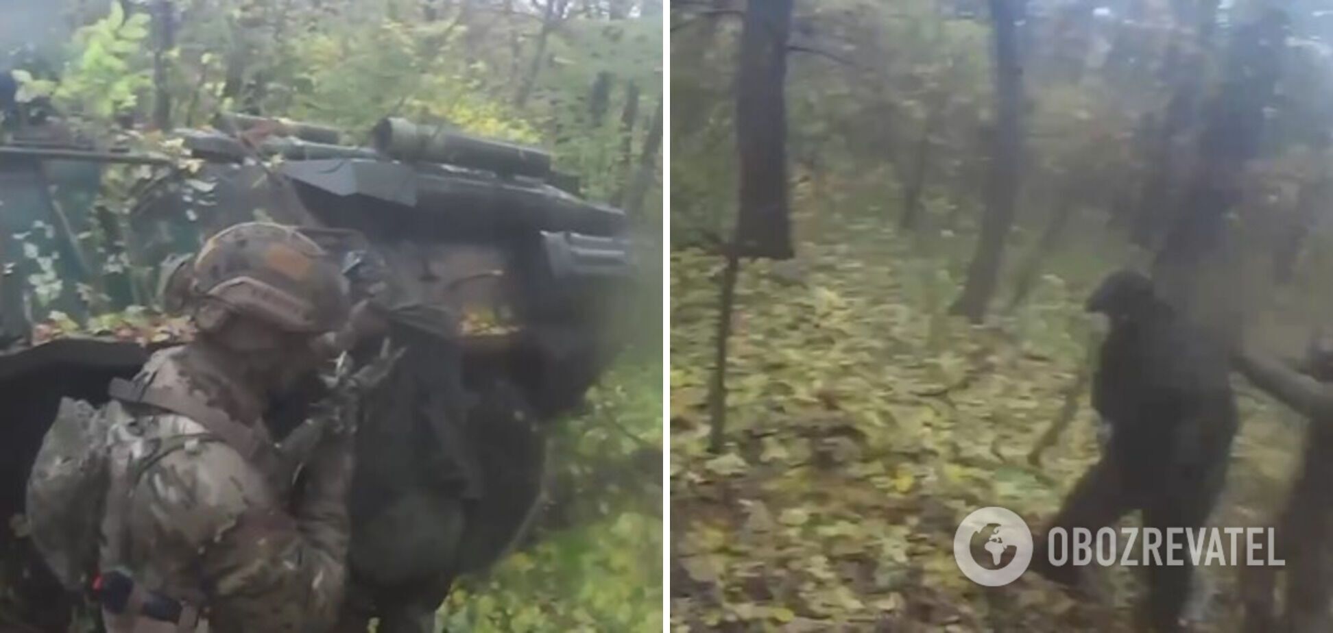 ’’’’ :   ’’’’       . ³