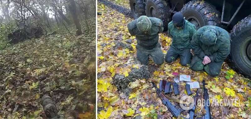 ’’’’ :   ’’’’       . ³