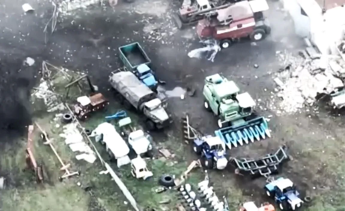    :   ,     "".  dqxikeidqxirzant