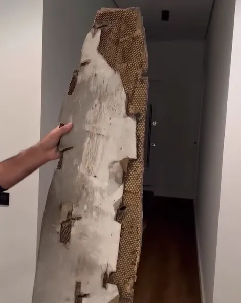 Зірка ’’Кварталу 95’’ Тетяна Песик зізналася, що тримає вдома крило збитого російського літака: хочу комусь подарувати