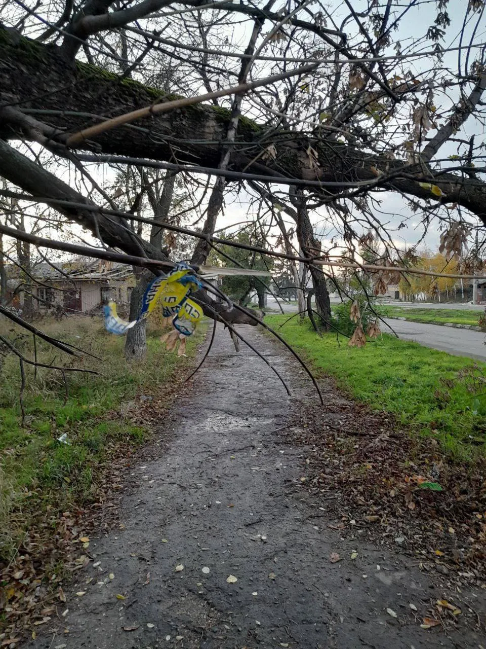 У Маріуполі партизани нагадали окупантам та колаборантам, що ЗСУ вже близько. Фото