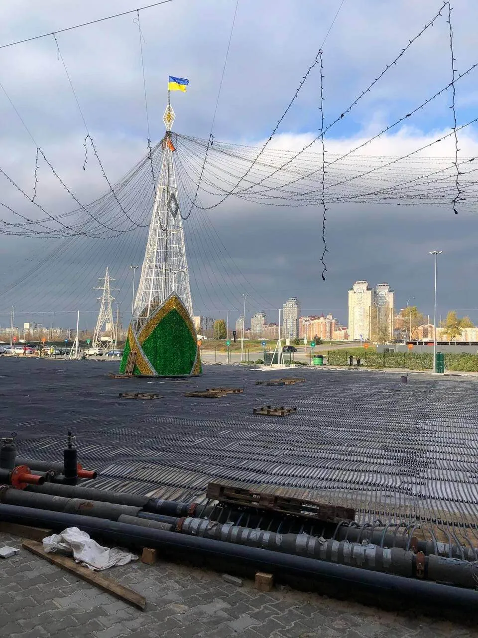 В Киеве появится первая новогодняя елка. Фото dqxikeidqxidqeant