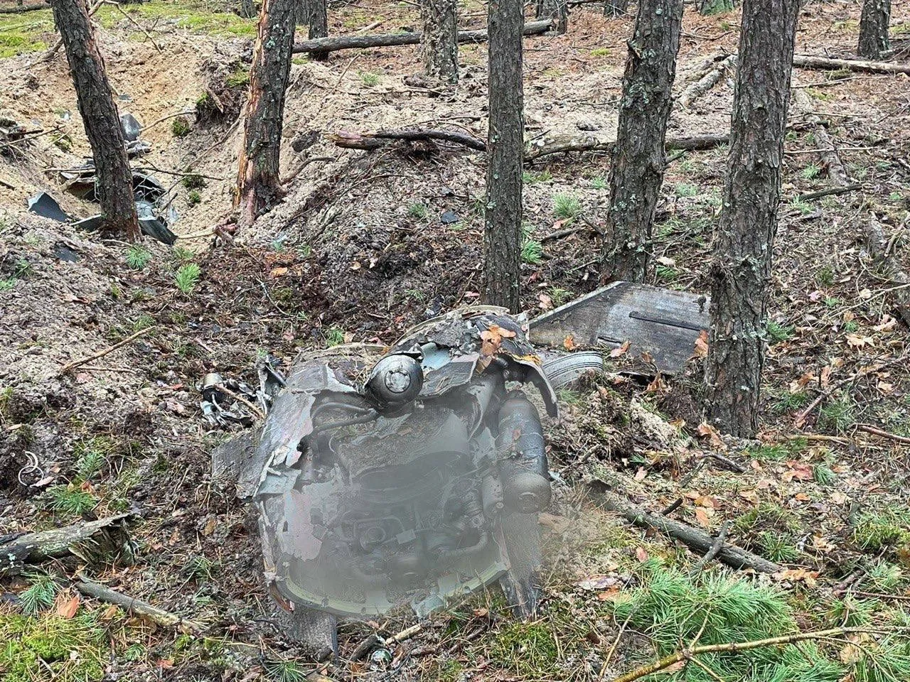На Київщині в лісі знайшли уламки ще однієї збитої ракети. Фото і відео