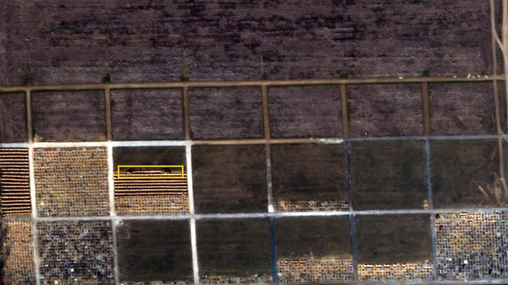       :     dqxikeidqxidqeant