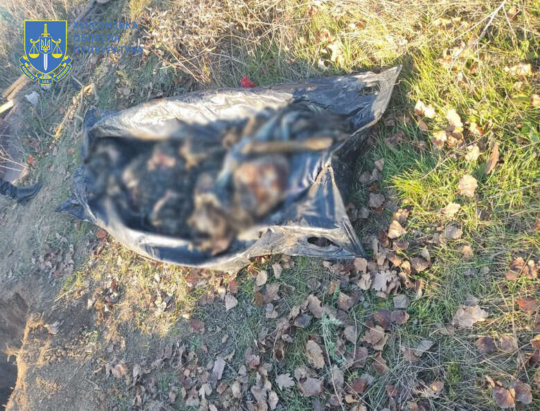 ҳ         01 dqxikeidqxidqrant