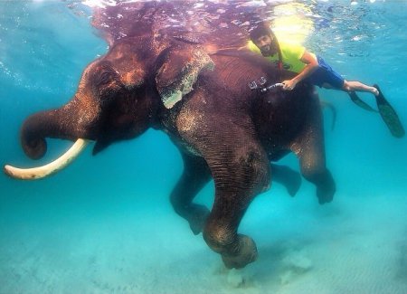 Земная жизнь принца Дубая. ФОТО Земная жизнь принца Дубая. ФОТО