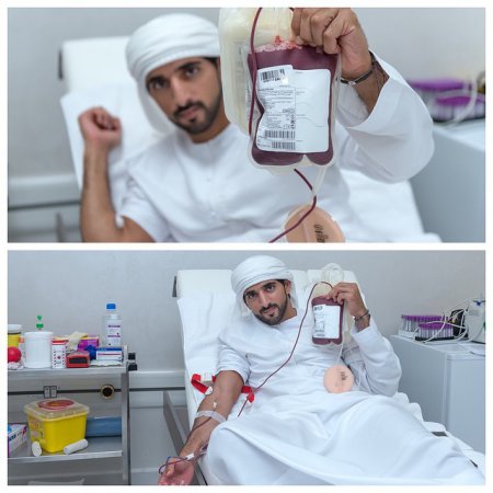 Земная жизнь принца Дубая. ФОТО Земная жизнь принца Дубая. ФОТО