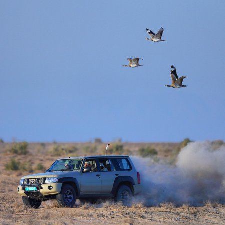 Земная жизнь принца Дубая. ФОТО Земная жизнь принца Дубая. ФОТО