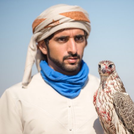 Земная жизнь принца Дубая. ФОТО Земная жизнь принца Дубая. ФОТО