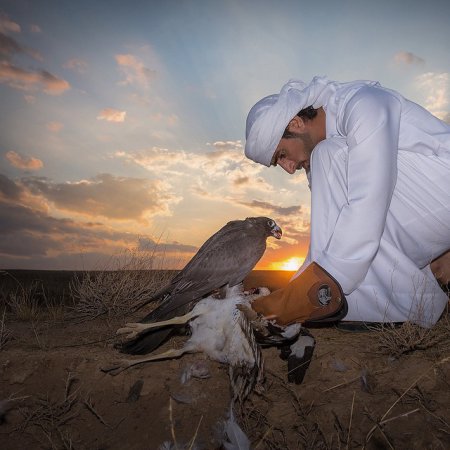 Земная жизнь принца Дубая. ФОТО Земная жизнь принца Дубая. ФОТО