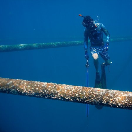 Земная жизнь принца Дубая. ФОТО Земная жизнь принца Дубая. ФОТО