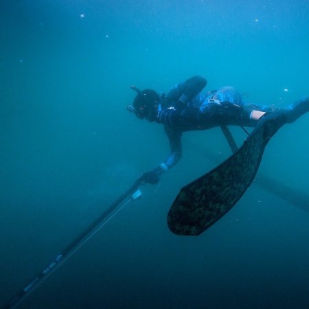 Земная жизнь принца Дубая. ФОТО Земная жизнь принца Дубая. ФОТО