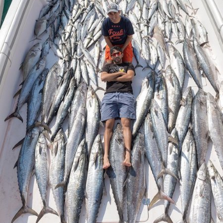 Земная жизнь принца Дубая. ФОТО Земная жизнь принца Дубая. ФОТО