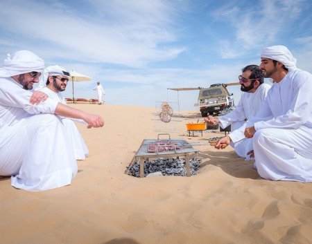 Земная жизнь принца Дубая. ФОТО Земная жизнь принца Дубая. ФОТО