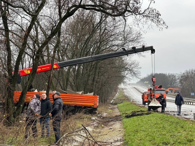 засічна риса, білгородська засічна риса dqxikeidqxidqrant