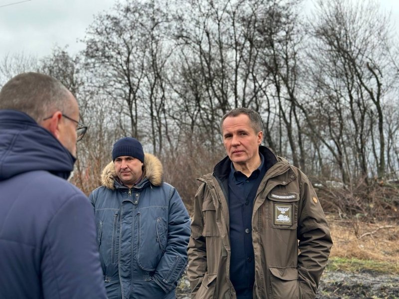 засічна риса, білгородська засічна риса