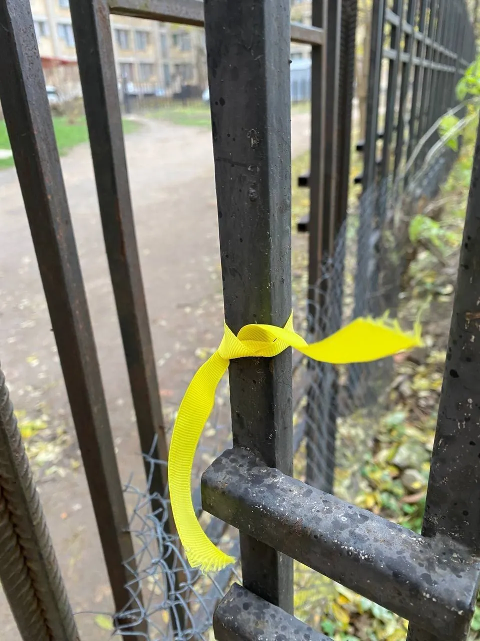 ’’ ’’:       .   dqxikeidqxidqrant