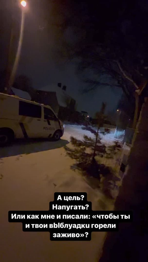 В дом Софии Стужук бросали коктейли Молотова / © instagram.com/sofia_stuzhuk