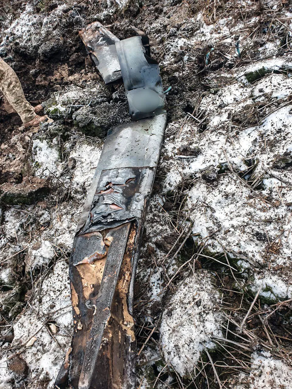 Украинские нацгвардейцы сбили вражескую крылатую ракету Х-101 из стрелкового оружия: фото и впечатляющие подробности