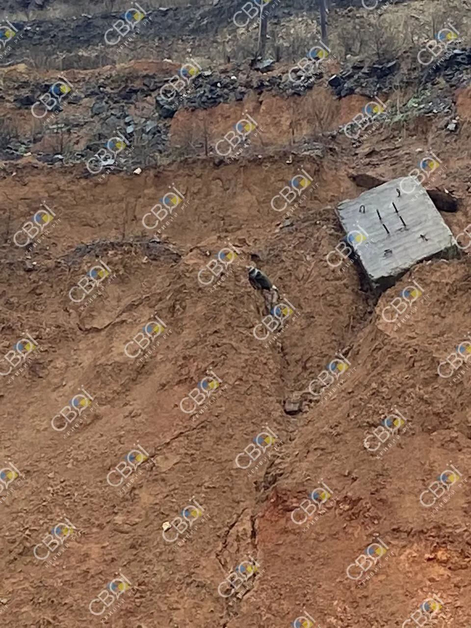 У Кривому Розі знайшли мертвими двох дітей: їх шукали понад два тижні. Фото