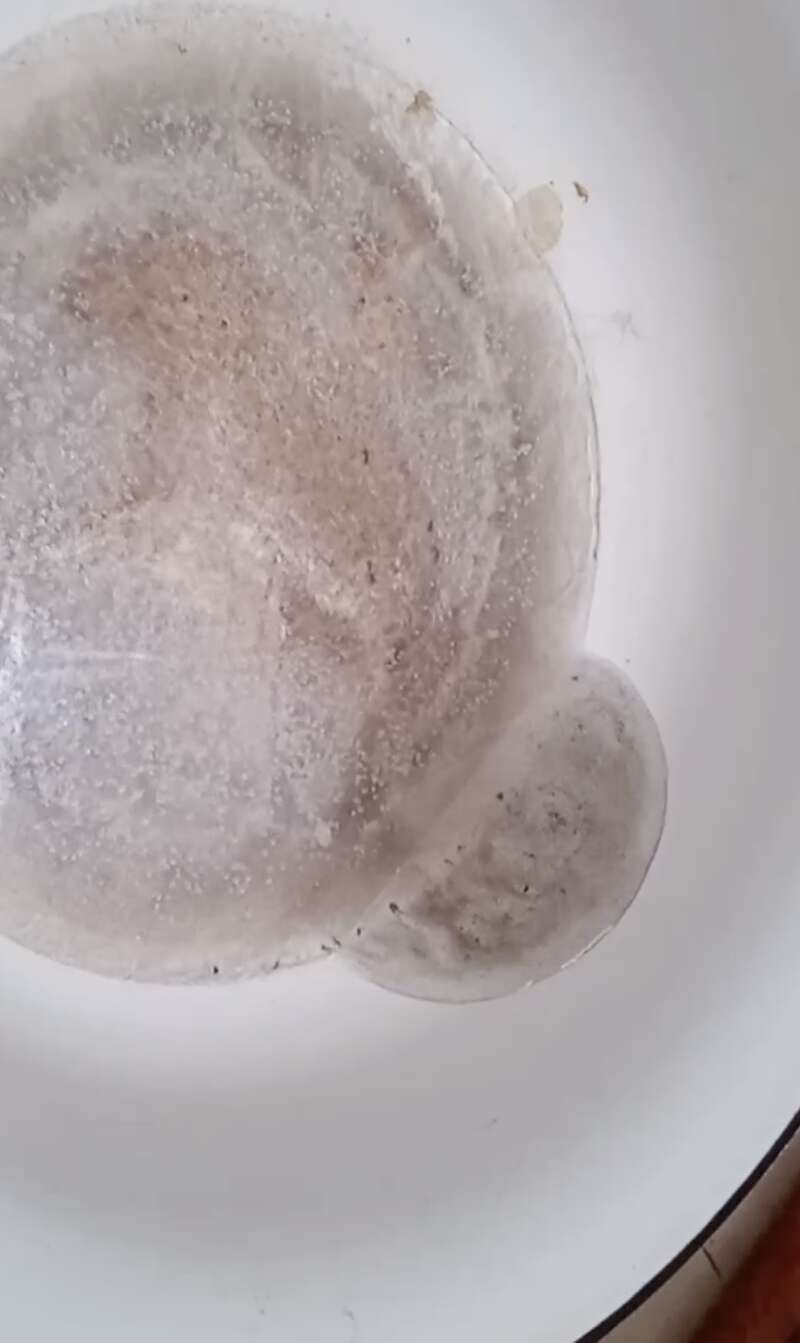 В окупованому Маріуполі у будинках замерзає вода, люди змушені виживати у тяжких умовах. Відео