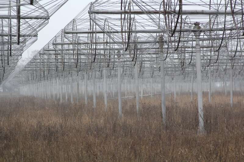 ©   [ ] dqxikeidqxiqqdant