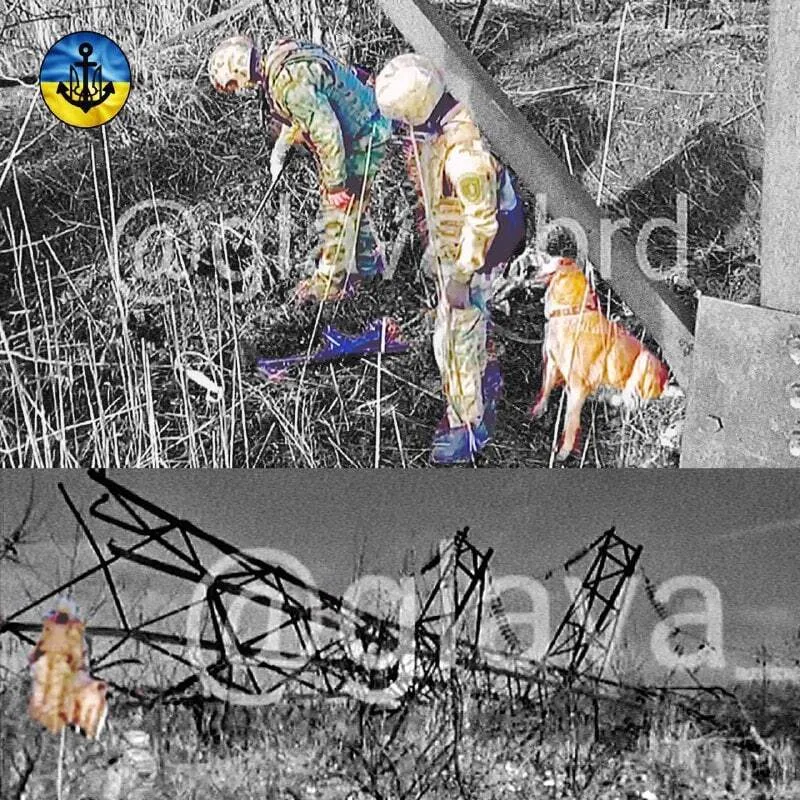 У Бердянську партизани підірвали лінію електропередач та підстанцію, залишивши окупантів без світла