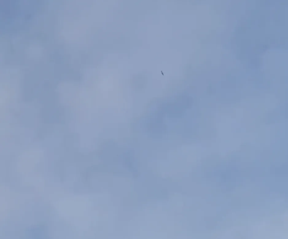       ᒺ     :     .    dqxikeidqxidqrant