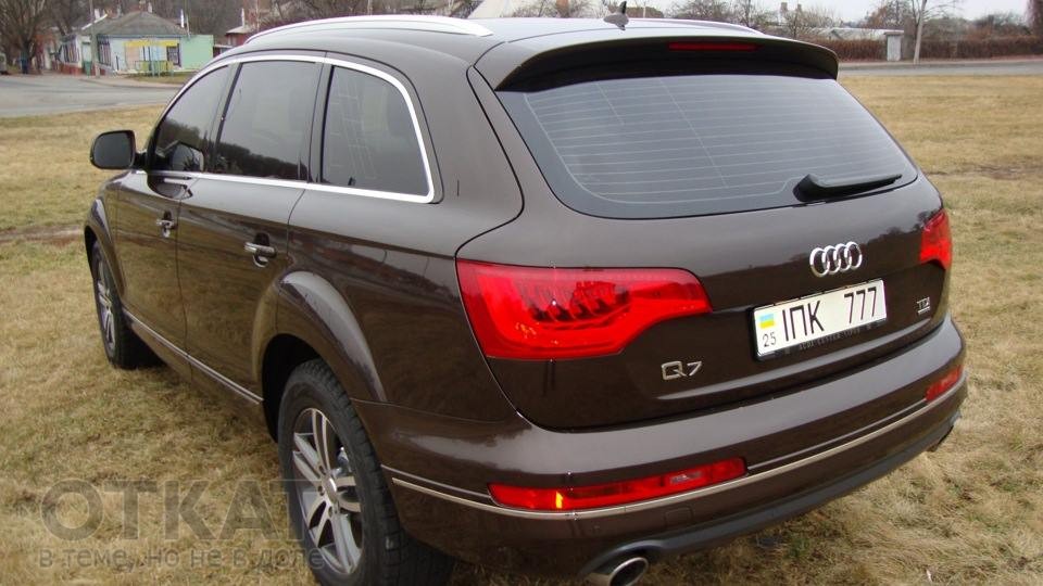 10358009_639272602824038_748320433_n dqxikeidqxidqrant