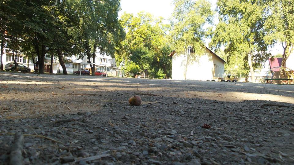 11960147 868839446499306 5819229915575622731 n dqxikeidqxidqeant