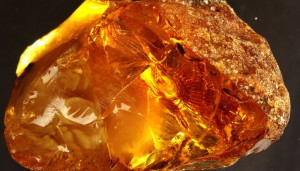 yantar dqxikeidqxidqeant