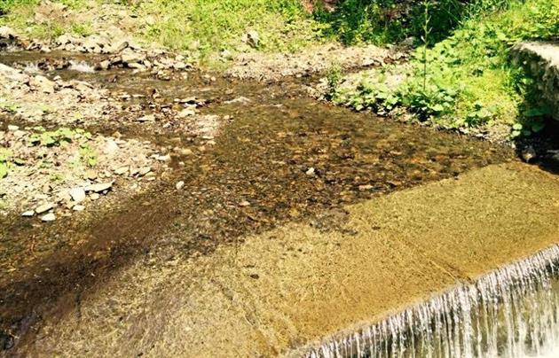 Екс-помічник Януковича заробляє варінням пива на Закарпатті - фото 3 Екс-помічник Януковича заробляє варінням пива на Закарпатті - фото 3