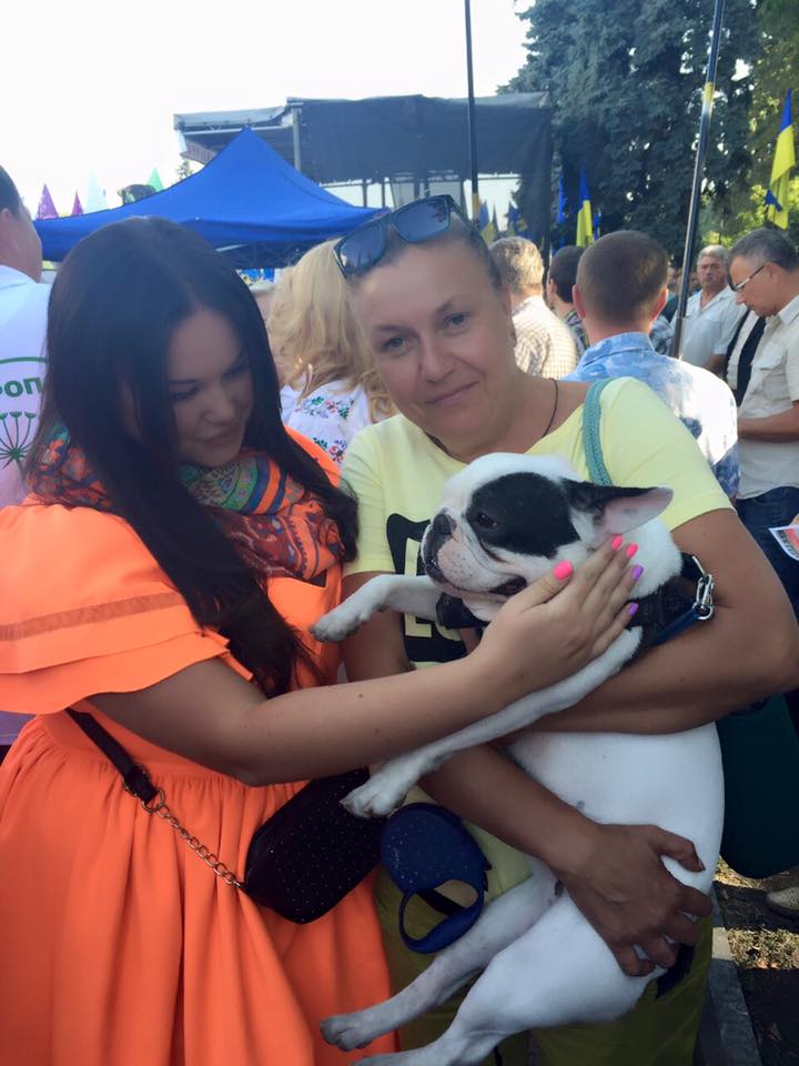 11988681_1492401401053602_3979137486803537984_n